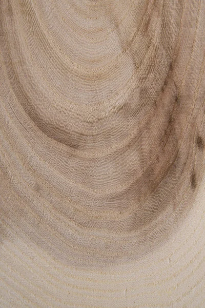 Corte transversal de madera con anillos anuales de primer plano. Pieza de madera de primer plano . — Foto de Stock