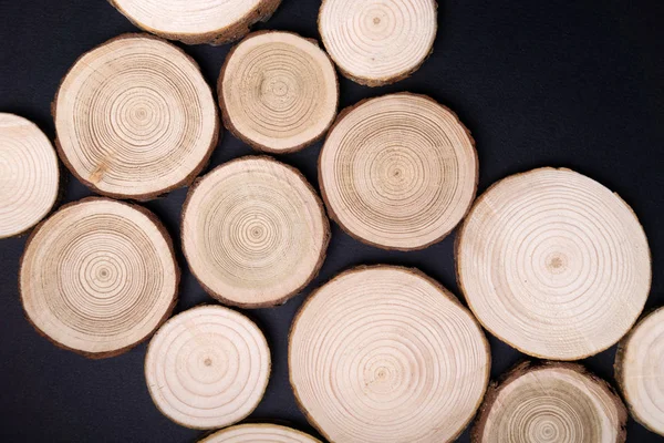 Pine tree cross-sections with annual rings on black background. Lumber piece close-up, top view. — Stock Photo, Image