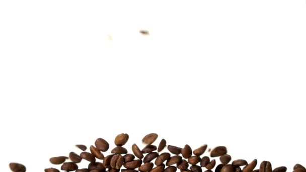 Grains de café tombant sur fond blanc remplissant l'espace de l'écran . — Video