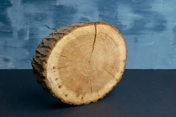 Cracked tree cross-section with annual rings on painted blue background. Lumber piece close-up.