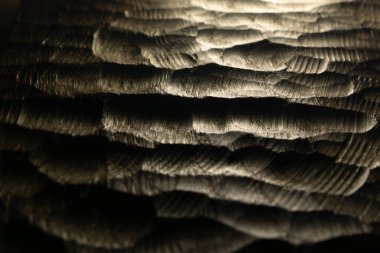 Oyma ahşap dalgalar doku, arka plan. Soyut arka plan için ham oyma ahşap yüzey. Ahşap arkadan aydınlatmalı deniz dalgaları.