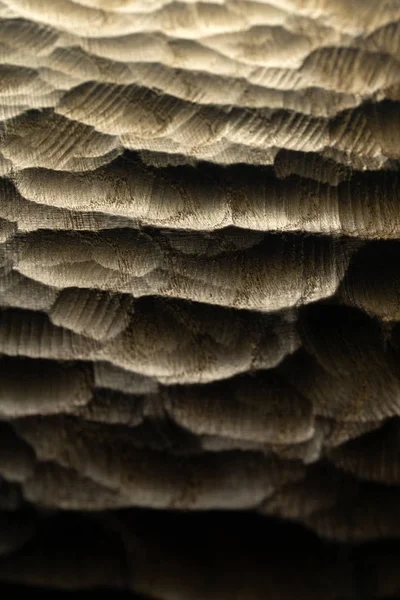 Textura de las ondas de madera tallada, fondo. Superficie de madera tallada en bruto para fondo abstracto. Ondas marinas de madera retroiluminadas . — Foto de Stock