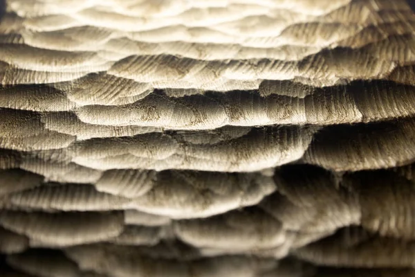 Textura de las ondas de madera tallada, fondo. Superficie de madera tallada en bruto para fondo abstracto. Ondas marinas de madera retroiluminadas . — Foto de Stock