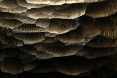 Oyma ahşap dalgalar doku, arka plan. Soyut arka plan için ham oyma ahşap yüzey. Ahşap arkadan aydınlatmalı deniz dalgaları.