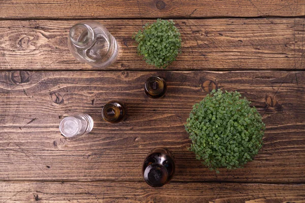 Microgreens en récipient rond et petits flacons en verre sur table en bois. Germes crus, microverts, concept de saine alimentation. Sciences, biologie . — Photo