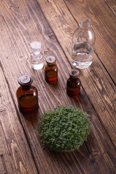 Microgreens en recipiente redondo y pequeños viales de vidrio sobre mesa de madera. Brotes, microgreens, concepto de alimentación saludable. Ciencia, biología . — Foto de Stock