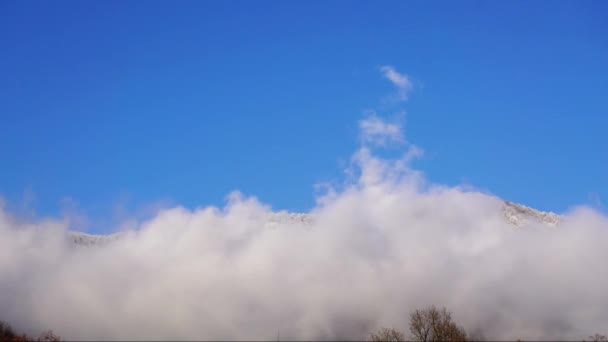 Σύννεφα κινούνται πάνω από το ορεινό τοπίο του Καυκάσου και το δάσος. Time-lapse. — Αρχείο Βίντεο