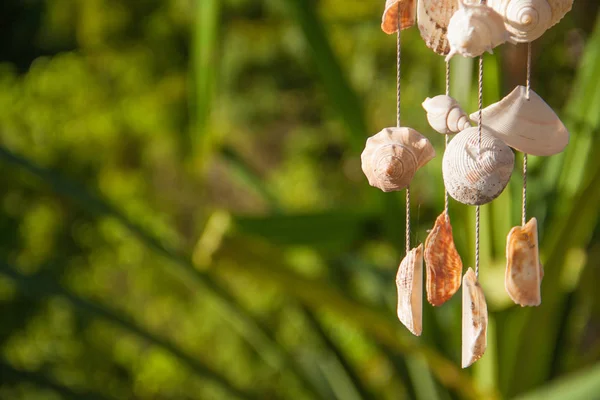 Decoration made of sea shells on the thread — Stock Photo, Image