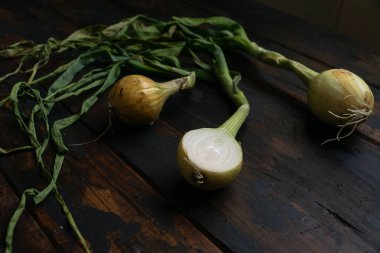 Rustik ahşap masada yaprakları ile Organik soğan. Yemek geçmişi. Soğan soğanı, yeşil bahar. Üstte görüntü.