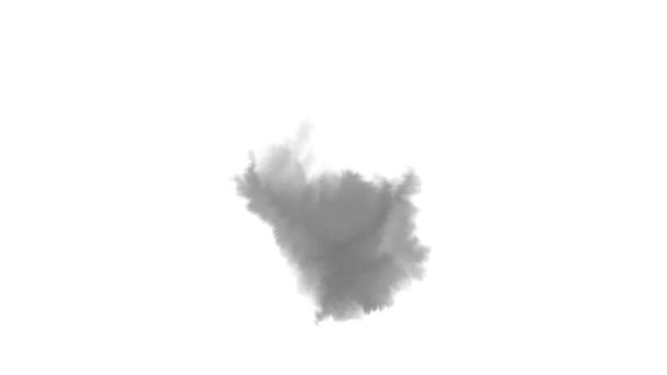 Aquarell handgezeichnet grauer Fleck auf weißem nassem Papier. Übergang für Video, Einblendung, Ausblendung. — Stockvideo