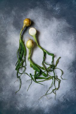 Sayfalı yüzeyde organik soğanlar, arka plan. Olgun soğanlar. Ampul soğanı, yeşil yay. Üst görünüm.