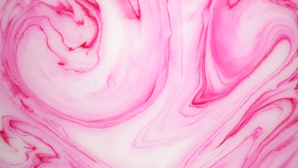 Stains of pink and white ink on the water. Abstract background footage. — Stock Video
