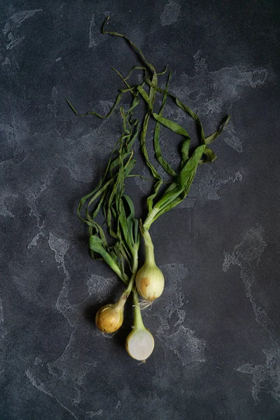 Organic onions on dark textured surface. Onions background. Bulb onions, green spring. Top view. — Stock Photo, Image