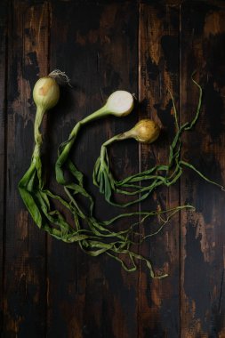 Rustik ahşap masada yaprakları ile Organik soğan. Yemek geçmişi. Soğan soğanı, yeşil bahar. Üstte görüntü.