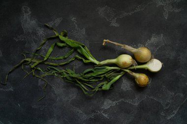 Koyu dokulu yüzeyde organik soğan. Soğan arka plan. Soğan soğanı, yeşil bahar. Üstte görüntü.