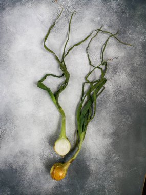 Sayfalı yüzeyde organik soğanlar, arka plan. Olgun soğanlar. Ampul soğanı, yeşil yay. Üst görünüm.