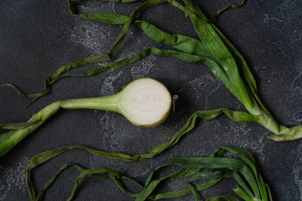 Organic onion with leaves on dark textured surface. Ripe onions. Bulb onions, green spring. Top view. — Stock Photo, Image