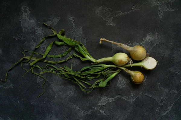 Koyu dokulu yüzeyde organik soğan. Soğan arka plan. Soğan soğanı, yeşil bahar. Üstte görüntü.