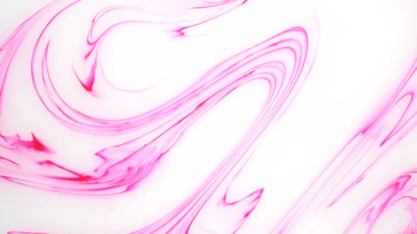 Taches d'encre rose et blanche sur l'eau. Images de fond abstraites . — Video