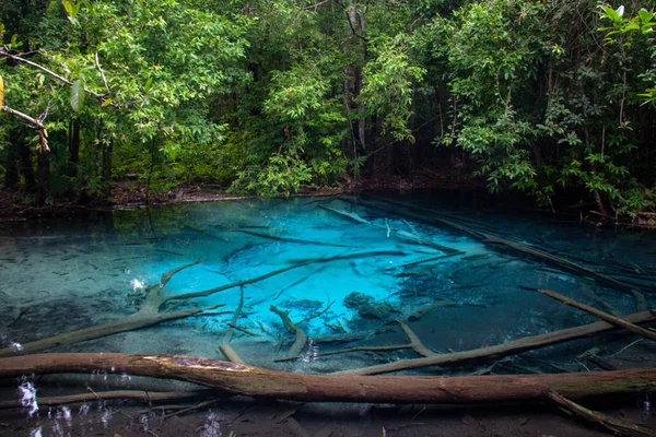 Emerald Blue Pool i provinsen Krabi, Thailand. — Stockfoto