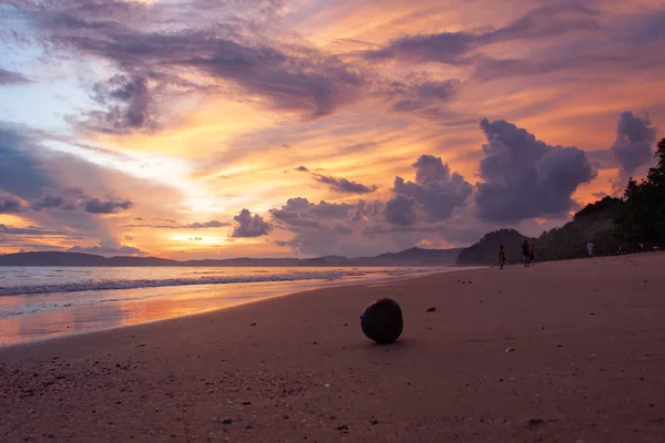 Salida del sol en la playa tropical con una fruta de coco en la arena . — Foto de Stock