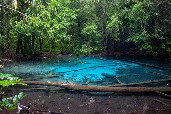 Emerald Blue Pool i provinsen Krabi, Thailand. — Stockfoto