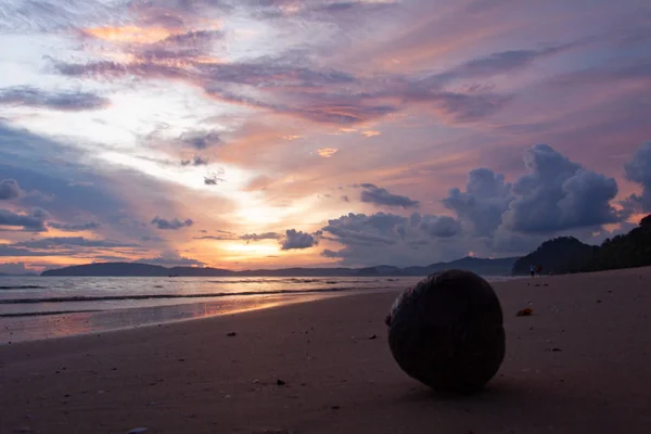 Sonnenaufgang am tropischen Strand mit einer Kokosfrucht im Sand. — Stockfoto