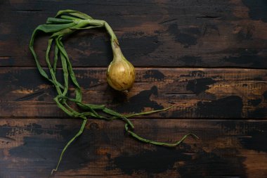 Kırsal ahşap masa üzerinde yaprakları olan organik soğan. Yemek arkaplanı. Ampul soğanı, yeşil yay. Üst görünüm.