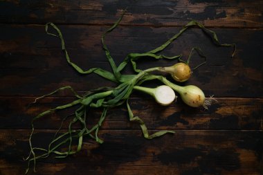 Rustik ahşap masada yaprakları ile Organik soğan. Yemek geçmişi. Soğan soğanı, yeşil bahar. Üstte görüntü.