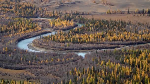 Πανοραμική λήψη του ελικοειδούς ποταμού στην περιοχή Alyai της Σιβηρίας. — Αρχείο Βίντεο