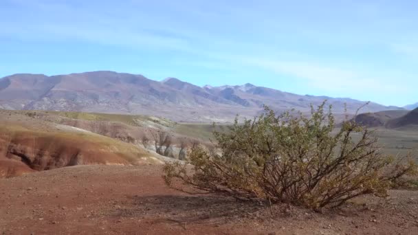 Altai, naturpark, berömda Altai Mars dalgång utsikt. — Stockvideo