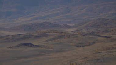 Tepeleri ve ağaçları olan Altai vadisi manzarası. Sibirya 'daki sıradağlar.