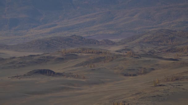 언덕 과 나무가 있는 알 타이 계곡의 풍경입니다. 시베리아 의산 맥. — 비디오