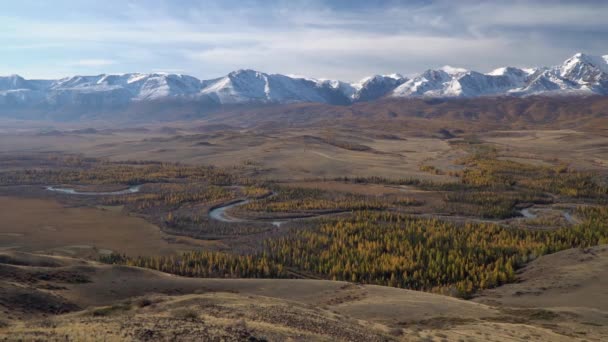 Fotografia panorâmica do rio sinuoso na região de Alyai, Sibéria . — Vídeo de Stock