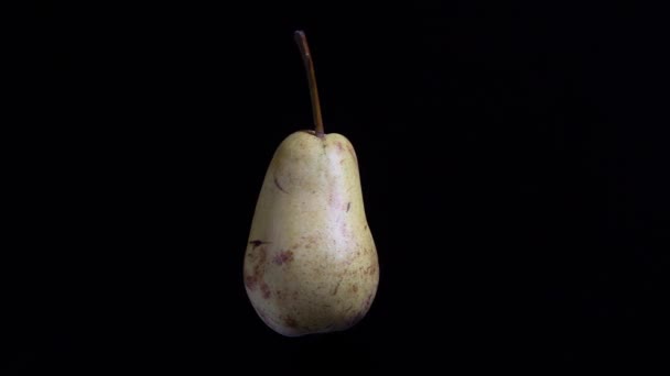 Poire pâle tournante sur fond noir, prise de vue en studio isolée . — Video