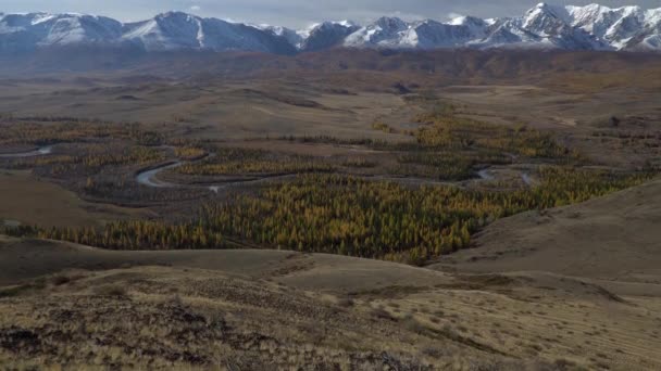 Panoramische opname van de kronkelende rivier in de Alyai regio, Siberië. — Stockvideo