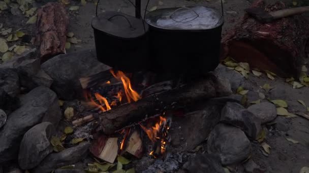 Dois calos numa fogueira. Cozinhar refeição enquanto viaja na floresta. Turismo e caminhadas, zoom-in shot . — Vídeo de Stock