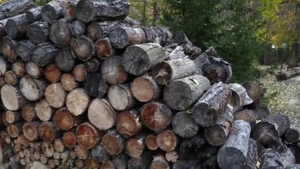 Куча дров готова к зиме. Стопка рубленных дров лежит под деревьями . — стоковое видео
