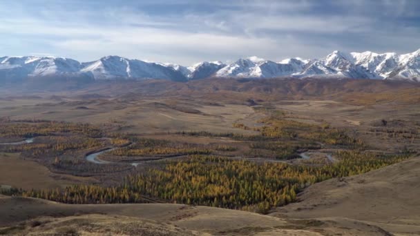 Panoramic shot of winding river in Alyai region, Siberia. — Stock Video