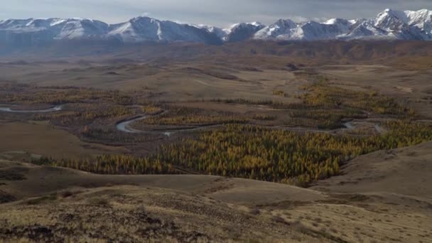 Vista panorámica del sinuoso río en la región de Alyai, Siberia . — Vídeo de stock