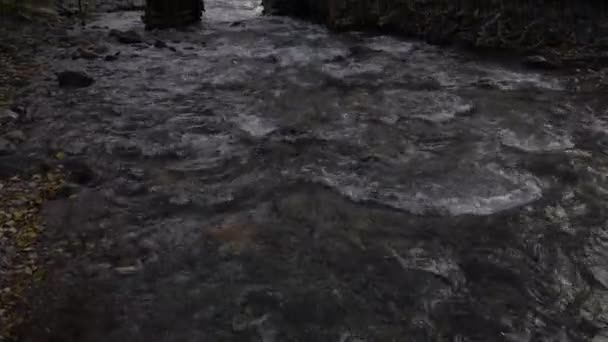 近くの家や木と速い山の川の上に木製の橋。松林に囲まれた急流の速い川の眺め. — ストック動画