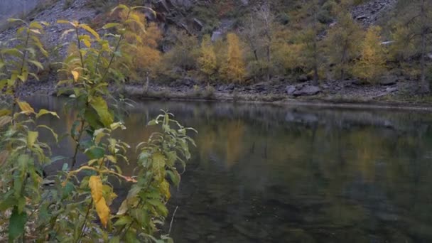 Arka planda kayalık kıyıları ve Autmun ormanı olan bir nehrin manzarası. — Stok video