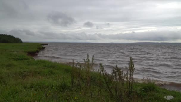 Ribera del río con hierba bajo el cielo nublado en un día ventoso . — Vídeos de Stock