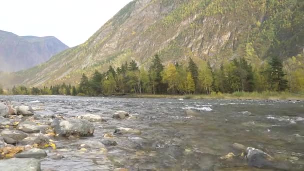 Schöne Landschaft Blick auf einen Gebirgsfluss mit felsigen Ufern, Wald und Berggipfeln am Horizont. — Stockvideo