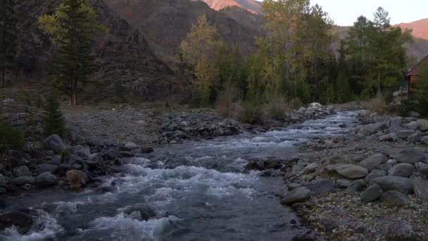 Rivière de montagne ruisseau avec une maison à proximité dans la forêt près des montagnes de l'Altaï . — Video