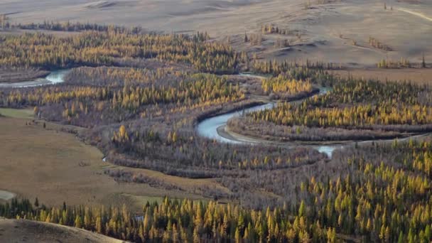 Sibirya 'nın Alyai bölgesinde akan nehrin panoramik görüntüsü. — Stok video