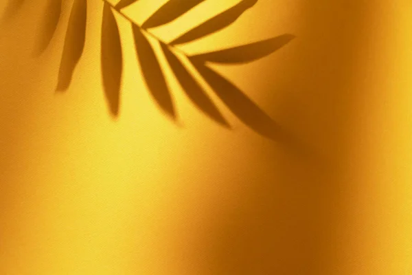 Schatten tropischer Pflanzenblätter auf orangefarbenem Hintergrund. Minimalistisches tropisches Design. lizenzfreie Stockfotos