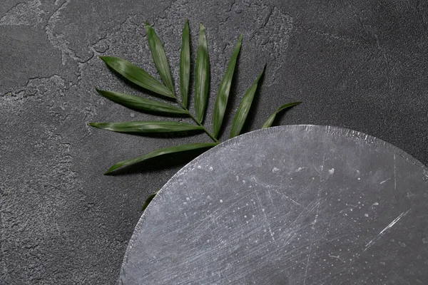 Folha de planta verde no fundo de concreto escuro. leigos planos, vista superior, modelo de design mínimo com copyspace — Fotografia de Stock