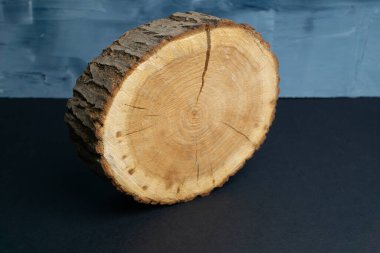 Kırık ağaç kesiti ve yıllık halkaları mavi arka planda. Kereste parçası yakın plan..