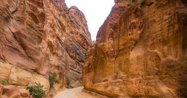 Kanyon Siq Ürdün Petra tapınak kenti yol katmanlı kumtaşı doku. 2018